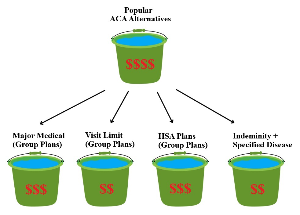 ACA Alternatives